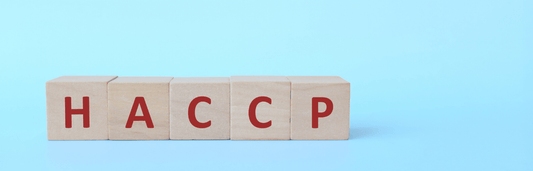 Holzwürfel mit roten Buchstaben „HACCP“ nebeneinander angeordnet, auf blauem Hintergrund mit freiem Raum darüber