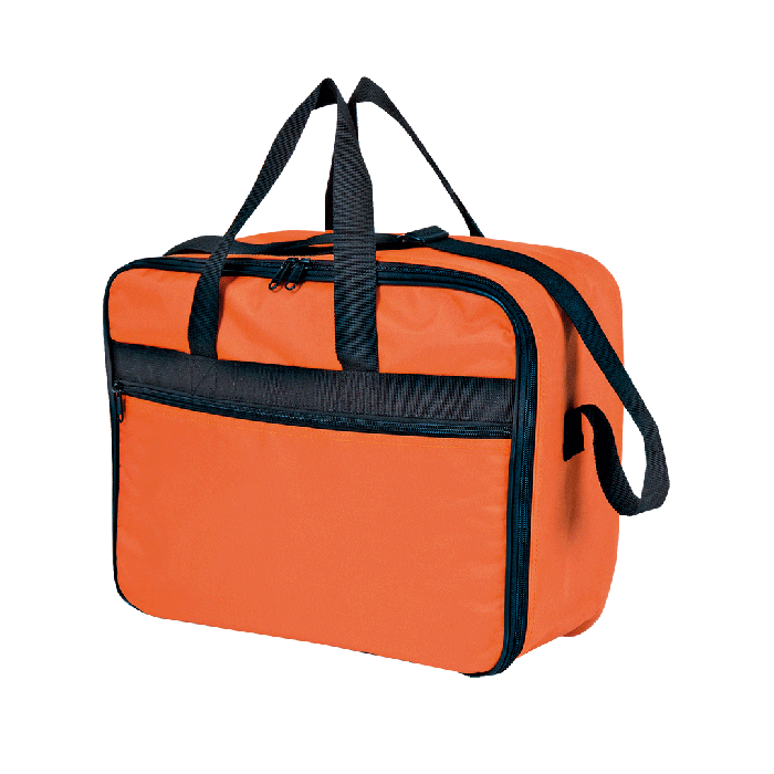 REAMED Carrying Case