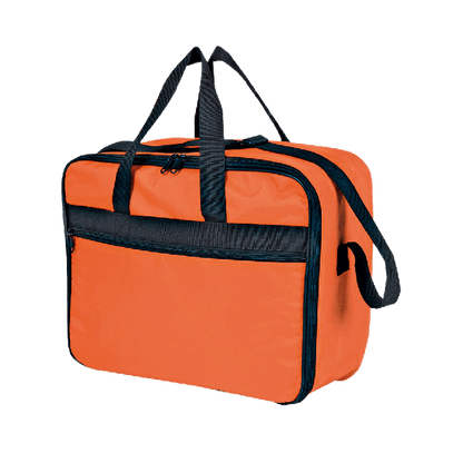 REAMED Carrying Case