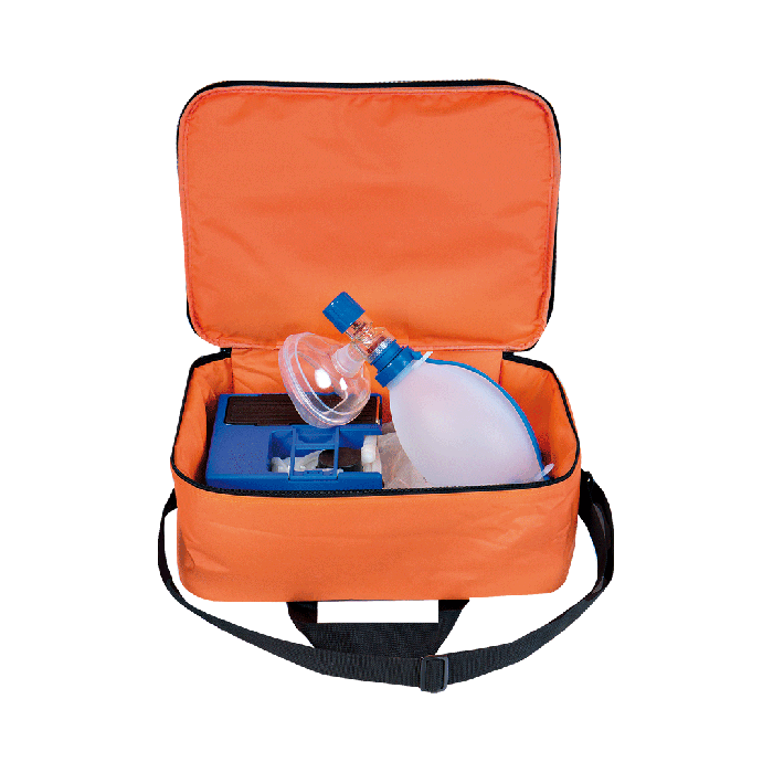 REAMED Carrying Case