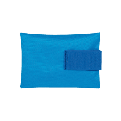 First Aid Guide for Pet Owners: At Home and on the Go (Blue)
