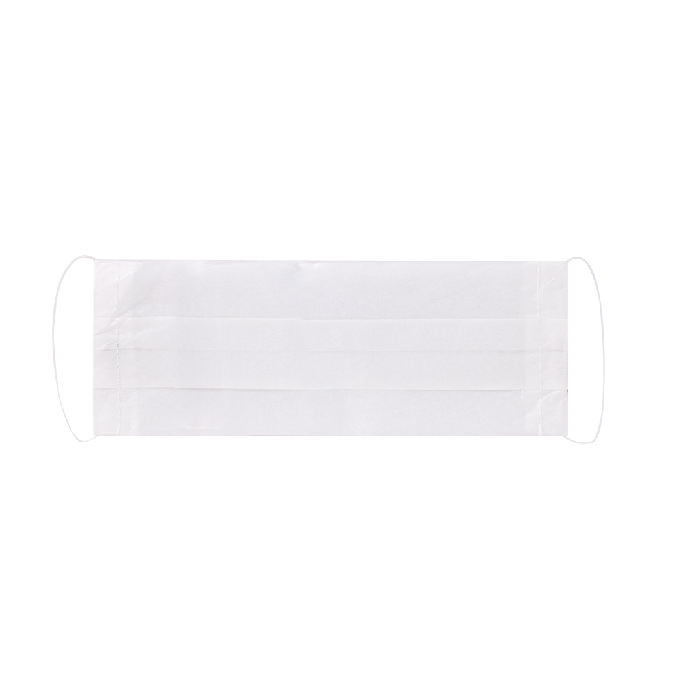 Disposable Face Mask, 1-Ply, Pack of 100