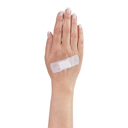 aluderm®-aluplast Elastic Strips, 2.5 x 7.2 cm, 10 pieces