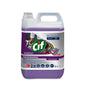 A 5-liter Cif Professional Safeguard 2in1 disinfectant cleaner from Diversey Deutschland GmbH & Co. OHG with a handle and screw cap shows on the label trademarks and images of clean surfaces, fresh products, and protection against bacteria and viruses.