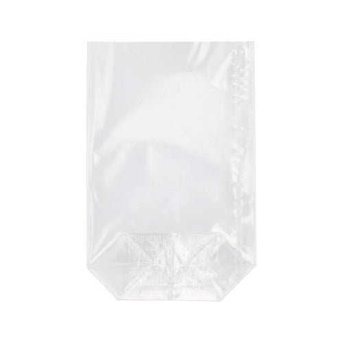 A transparent, rectangular Starpak 300 flat-bottom bag from Starpak with sealed side edges is depicted empty and photographed against a plain white background.