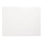 The PAPSTAR 250 placemats from PAPSTAR GmbH are simple white, rectangular paper placemats (30 cm x 40 cm), perfect as minimalist disposable placemats or practical table protection for any occasion.