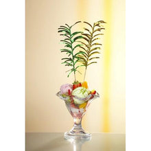 A glass dessert cup with colorful ice cream, fruit pieces, and two colorful PAPSTAR 144 decoration picks by PAPSTAR GmbH, all set against a softly lit background.