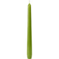 A taper candle from Duni GmbH (250 x 22 mm, green, approx. 7h burn time) stands upright with a pointed tip and visible wick against a plain white background.