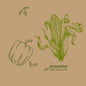 Green line drawings of a bell pepper, an ear with husk and leaves form a Veggies design on Duni GmbH tissue napkins 33 x 33 cm 3-ply. "ecoecho 100% compostable" is written on the light brown napkins. Pack (50 pieces).