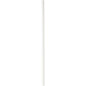 A white straw made of FSC® paper (ø 8 mm, 230 mm) from the brand Duni GmbH stands vertically against a plain background - Pack of 100 pieces.
