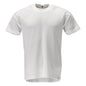 T-shirt, short sleeve t-shirt