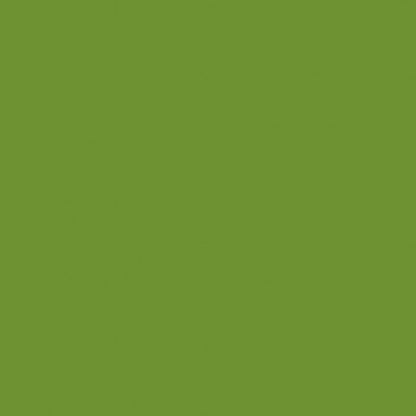 A strong, uniform green fills the image, reminiscent of the fresh look of the Bio-Dunisoft napkins 20 x 20 cm from Duni GmbH - no patterns, objects, or texts are visible.