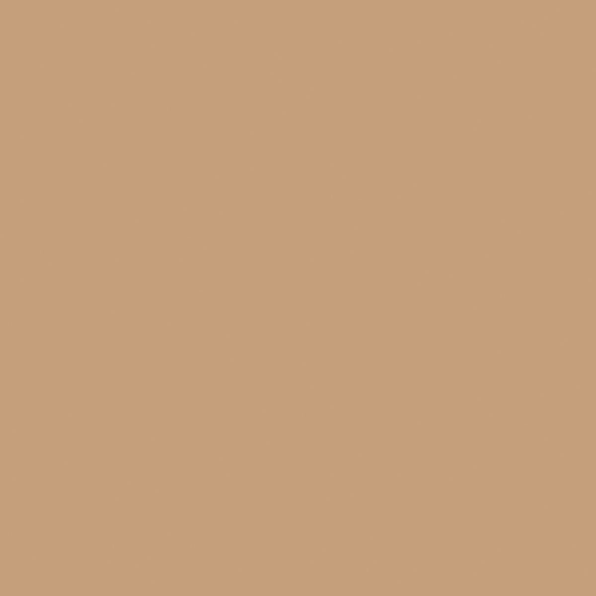 A solid, uniformly light brown hue fills the image, reminiscent of Bio-Dunisoft napkins 20 x 20 cm from Duni GmbH - without visible patterns, textures, or objects.