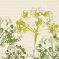 Green botanical silhouettes on a textured beige, grid-like background create an organic, watercolor-like look - ideal for sustainable cell types. Napkins 40x40 cm, 3-ply, green by Duni GmbH (pack of 250 napkins).
