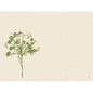 A minimalist green flower, inspired by the Bio-Dunicel sets 30x40 cm, green (100 pieces) by Duni GmbH, with abstract details on the left side of a beige, textured background and generous empty space on the right side.