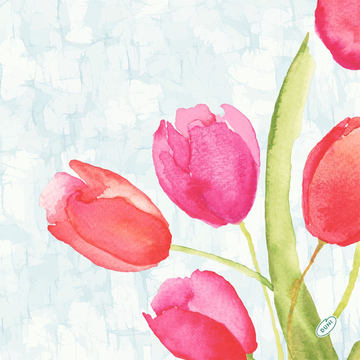 Watercolor illustration of four pink and red tulips with green stems on a light blue background, perfect for the Duni GmbH Bio-Dunisoft napkin. 40x40cm.