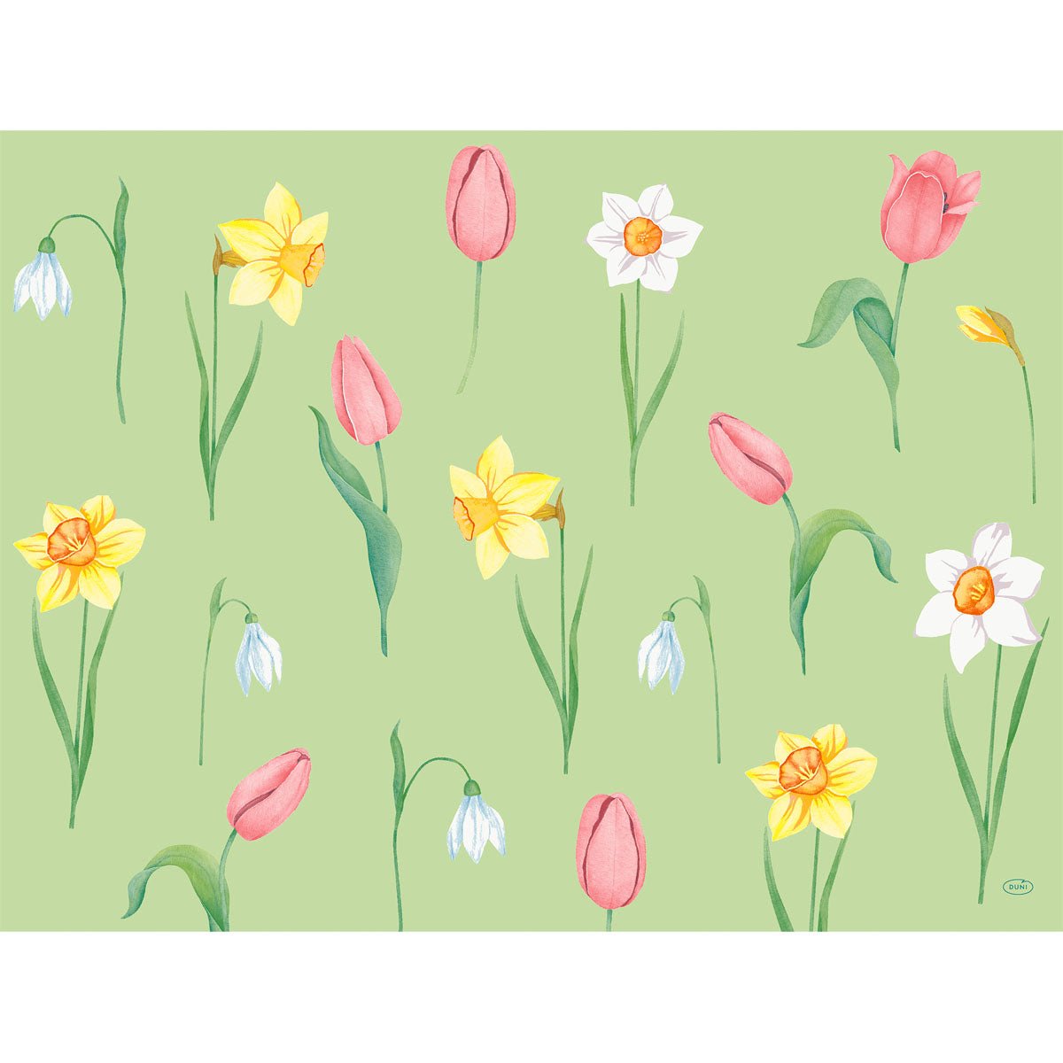 With the Duni GmbH paper placemats Spring Melody 30x40 cm with watercolor tulips, snowdrops, and daffodils on a light green background, you can add fresh accents to the season. 250 pieces.