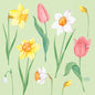 The 33 cm 3-ply 1/4-fold napkins Spring Melody from Duni GmbH feature yellow daffodils, white and yellow Easter lilies, pink tulips, and snowdrops on a light green background - ideal for spring table decoration. Pack of 50 pieces.