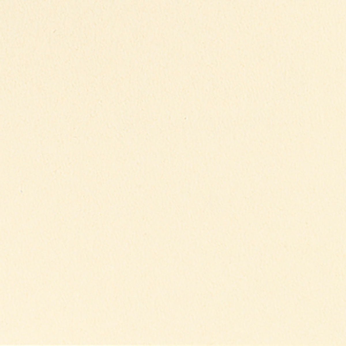 A smooth, even cream-colored surface - ideal for Bio-Dunicel table cover 84x84 cm, cream by Duni GmbH: high-quality, biodegradable disposable tablecloth (pack of 20 pieces), without visible patterns or details.