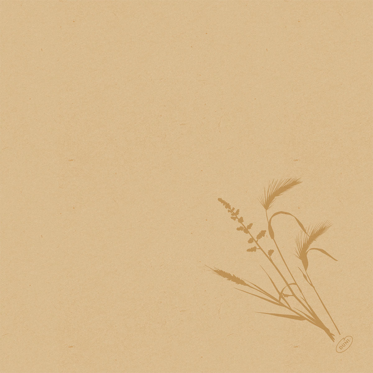 Beige textured paper with a simple brown botanical grass illustration in the lower right corner. Perfect for the presentation of the Duni GmbH Bio-Dunisoft napkin. 40x40cm. The rest of the page is blank.