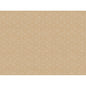 A beige background with a subtle white cube pattern presents the Bio-Dunicel sets 30x40 Graphics-natural paper sets, pack (100 pieces) by Duni GmbH - ideal for presenting eco-friendly tableware in style.