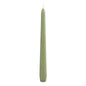 A pack of 50 chandelier candles 250x22 mm in pistachio green from Duni GmbH, each with a slightly wider base, stands upright against a white background - perfect for an elegant table decoration and adding subtle color to any setting.