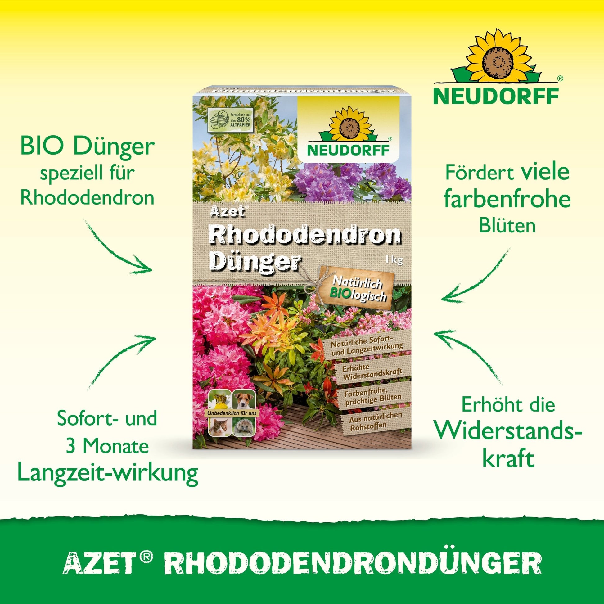 Pictured is a box of Azet Rhododendron Fertilizer from Neudorff Shop with vibrant rhododendrons and azaleas on the packaging and the organic complete fertilizer formula for healthy blooming with immediate and long-term effects.