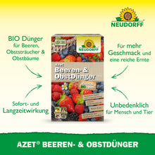Depicted is a box of Neudorff Shop Azet Berry & Fruit Fertilizer for strawberries and berry bushes with a text highlighting the long-lasting effect, improved fruit taste, and safety for humans and animals.