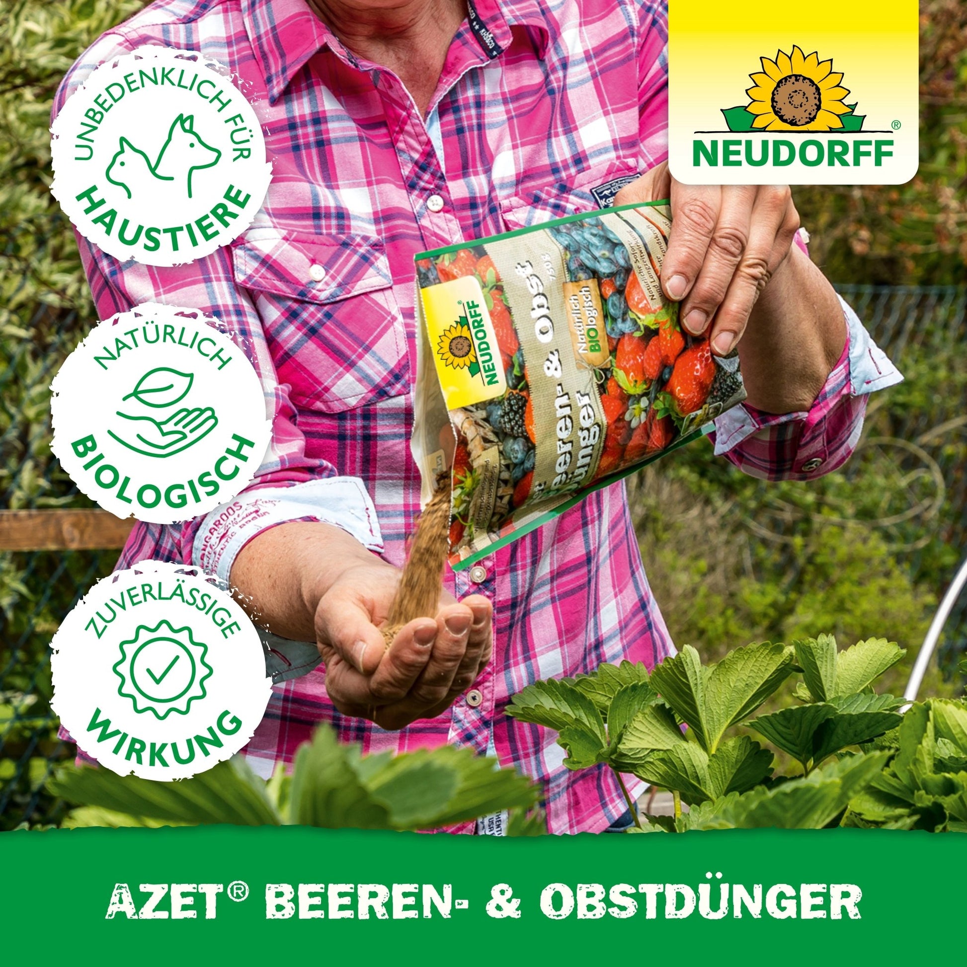 A person in a checkered shirt pours Azet Berry & Fruit Fertilizer from a Neudorff Shop bag onto strawberries. Three icons on the left emphasize the safety for pets, the biological ingredients, and the reliable effectiveness.