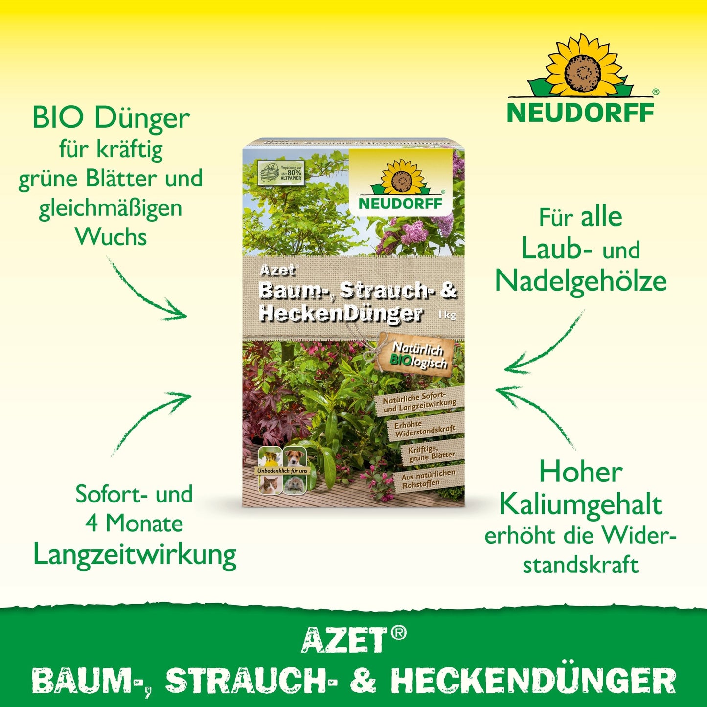 Depicted is a rectangular can of Neudorff Shop Azet Tree, Shrub & Hedge Fertilizer with green arrows emphasizing the long-lasting effect and high potassium content - an ideal fertilizer for shrubs and hedges in any garden.