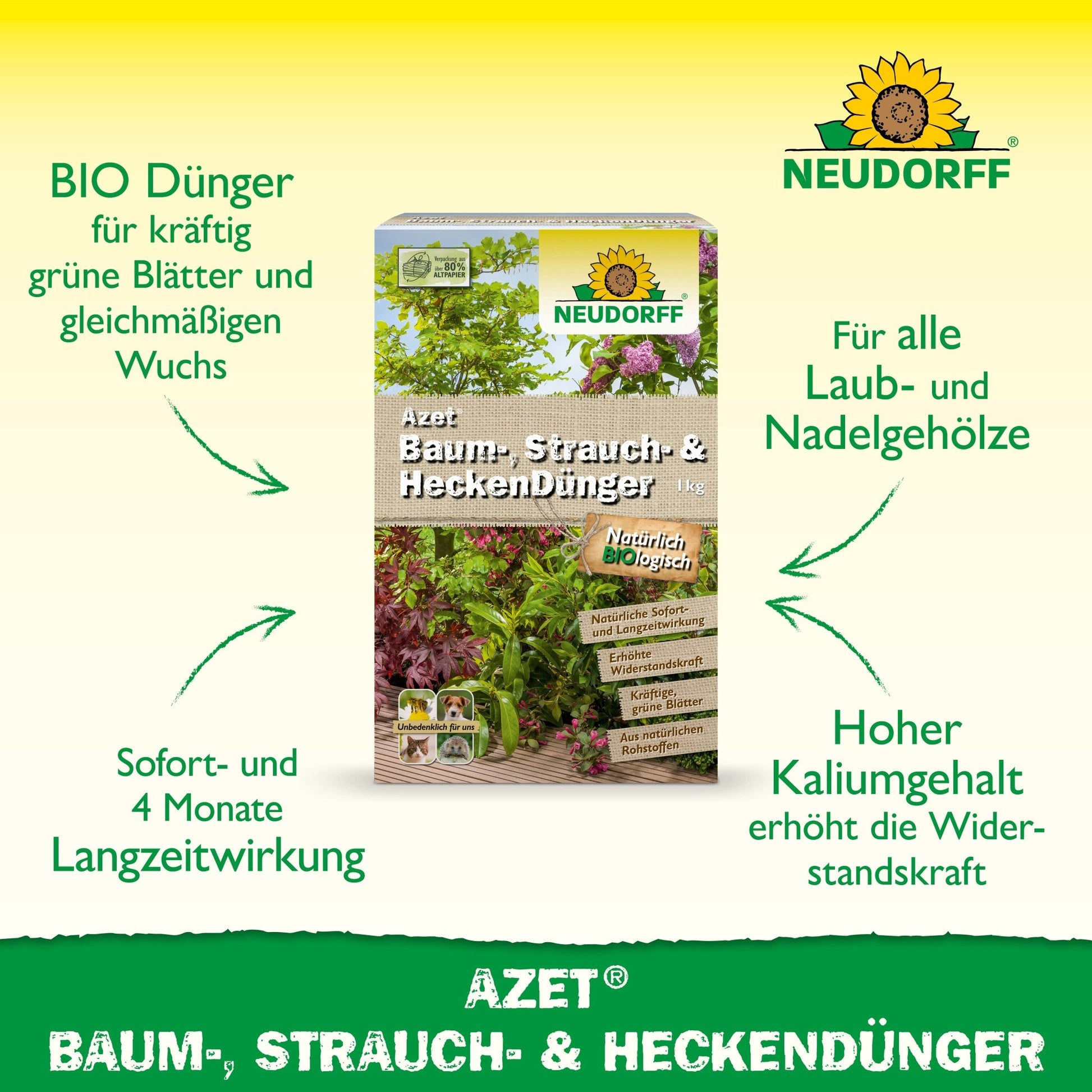 Depicted is a rectangular can of Neudorff Shop Azet Tree, Shrub & Hedge Fertilizer with green arrows emphasizing the long-lasting effect and high potassium content - an ideal fertilizer for shrubs and hedges in any garden.