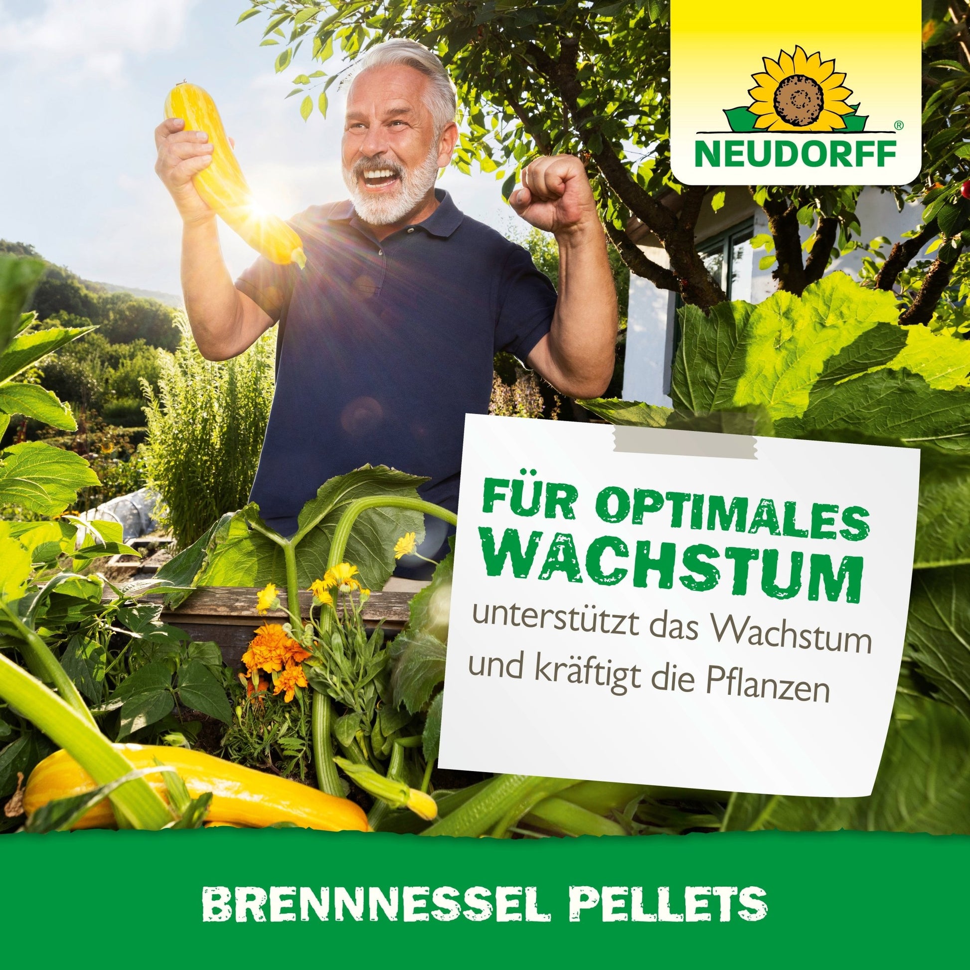An older man holds two large yellow zucchinis in a lush garden, smiles, and raises his fist. A sign in German advertises Neudorff Shop Nettle Pellets as a plant tonic for optimal plant growth.