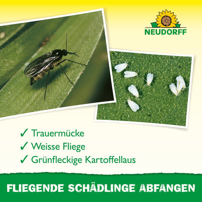 Close-up of a black gnat and tiny white flies on a leaf, helping to identify pests like fungus gnats, whiteflies, and green peach aphids. At the top is the Neudorff Shop logo with a note about the Yellow Sticker for houseplants.