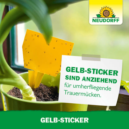 A Neudorff Shop Yellow Sticker, covered with small flying insects, is placed in a houseplant near a window. A label next to the pot reads: "Yellow Stickers are attractive to flying fungus gnats."