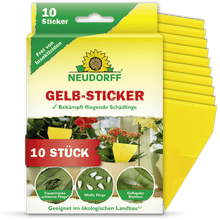 A pack of Neudorff Shop Yellow Stickers contains 10 yellow adhesive traps for houseplants, which are indicated on the front as effective against fungus gnats in potted plants, with German instructions for use.