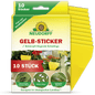 A pack of Neudorff Shop Yellow Stickers contains 10 yellow adhesive traps for houseplants, which are indicated on the front as effective against fungus gnats in potted plants, with German instructions for use.