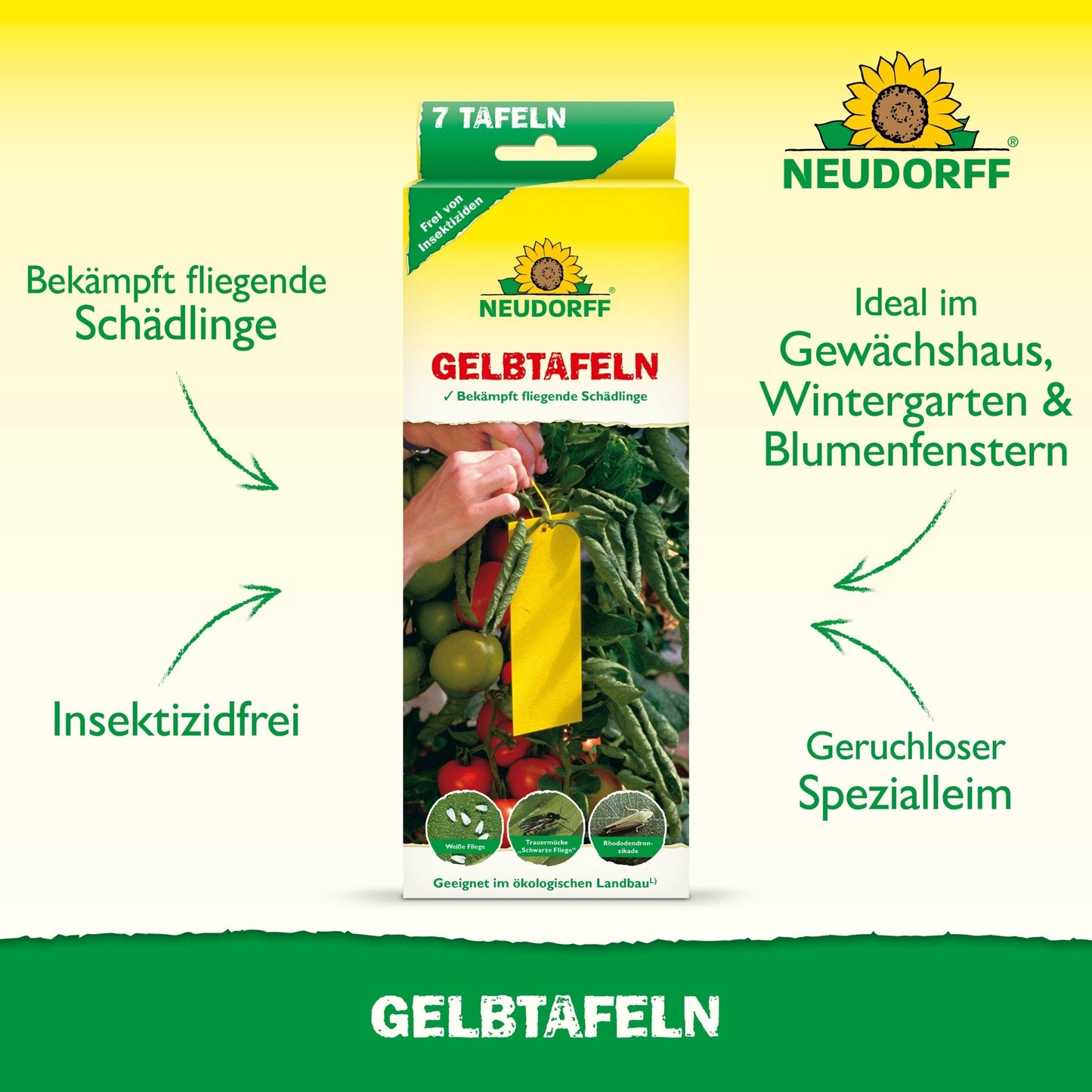 A rectangular box with the inscription "Gelbtafeln (small format)" from Neudorff Shop shows a yellow sticky trap between tomatoes. It is free of insecticides, ideal for greenhouses and flower windows, and targets pests such as fungus gnats and whiteflies.