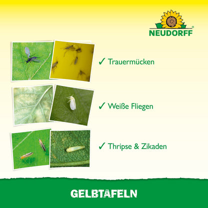 Four labeled photos show plant pests - fungus gnats, whiteflies, thrips, and leafhoppers - on leaves and a yellow sticky trap (small format). The Neudorff Shop logo and "GELBTAFELN" are also visible.