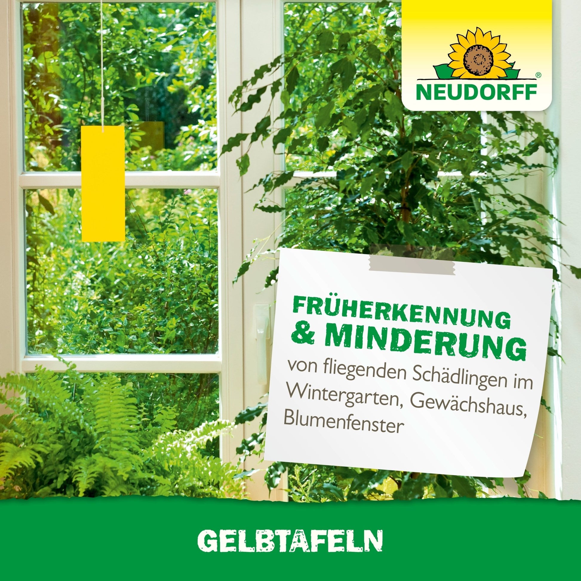 A bright room with large windows, green plants, and a yellow sticky trap from Neudorff Shop Gelbtafeln (small format). A sign promotes the early detection and reduction of flying plant pests such as fungus gnats and whiteflies. The Neudorff logo is visible.