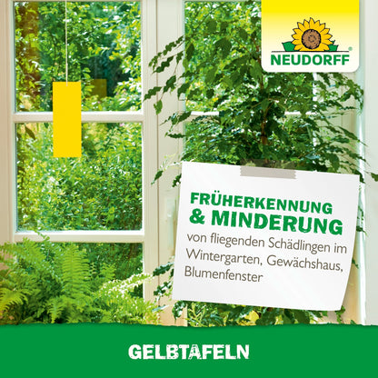 A bright room with large windows, green plants, and a yellow sticky trap from Neudorff Shop Gelbtafeln (small format). A sign promotes the early detection and reduction of flying plant pests such as fungus gnats and whiteflies. The Neudorff logo is visible.
