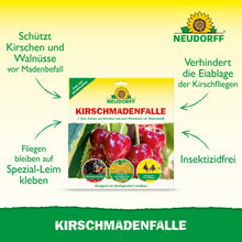 Product image for Neudorff Shop cherry maggot trap, with cherries and green text indicating that it is insecticide-free, protects against cherry fruit flies, and uses a special adhesive for a successful cherry harvest.