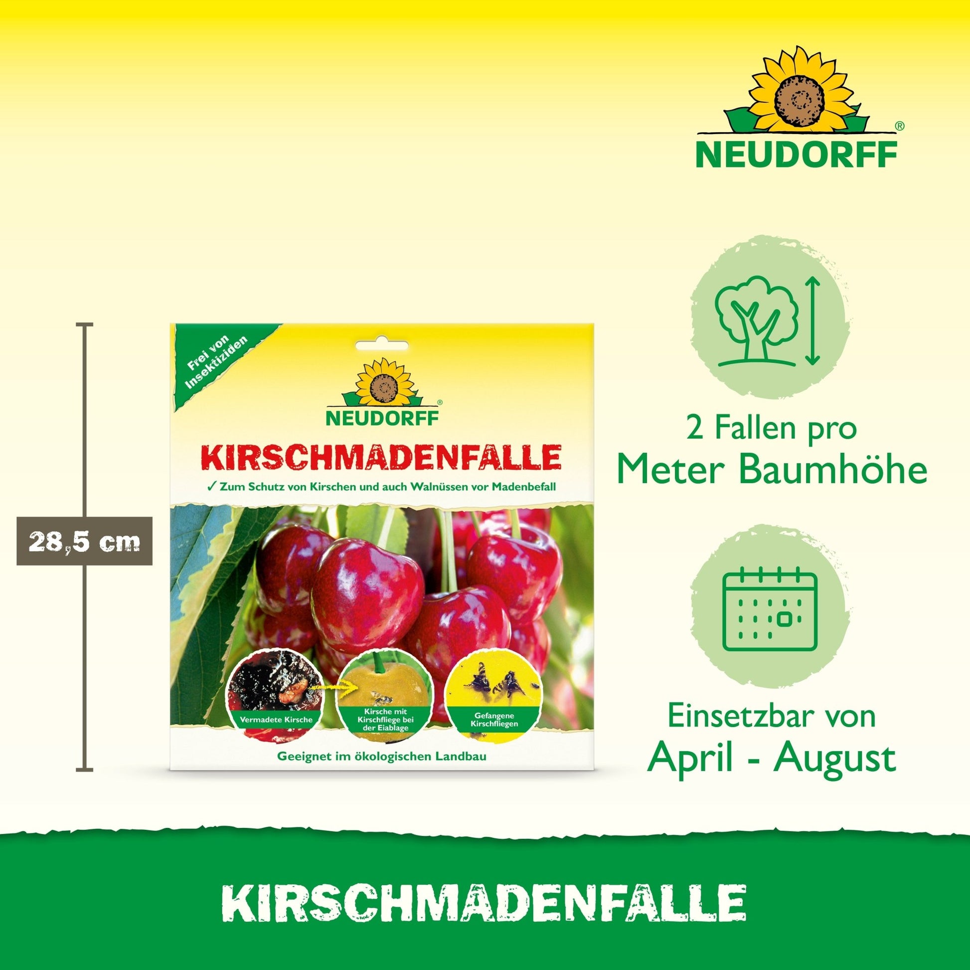 The packaging of the Neudorff Shop cherry maggot trap shows cherries and the trap - perfect for protecting your cherry harvest from fruit flies. Use 2 traps per meter of tree height from April to August. Height of the packaging: 28.5 cm.