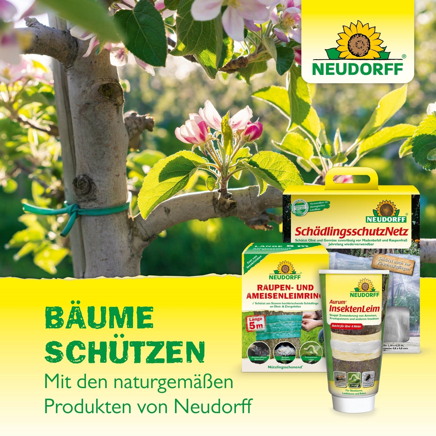 A branch tied with green string under blossoms, ripening cherries; in the foreground the Neudorff Shop cherry maggot trap for natural cherry protection and above it the logo; German text highlights tree care and cherry harvest.