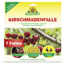 The front of a Neudorff Shop cherry maggot trap shows ripe cherries, close-ups of damage caused by the cherry fruit fly, trapped maggots and flies. The text highlights suitability for organic cherry harvest and that the package contains 7 traps.