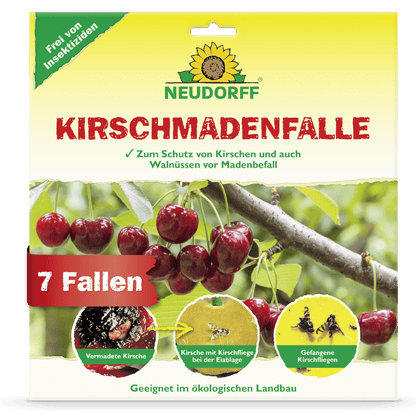 The front of a Neudorff Shop cherry maggot trap shows ripe cherries, close-ups of damage caused by the cherry fruit fly, trapped maggots and flies. The text highlights suitability for organic cherry harvest and that the package contains 7 traps.