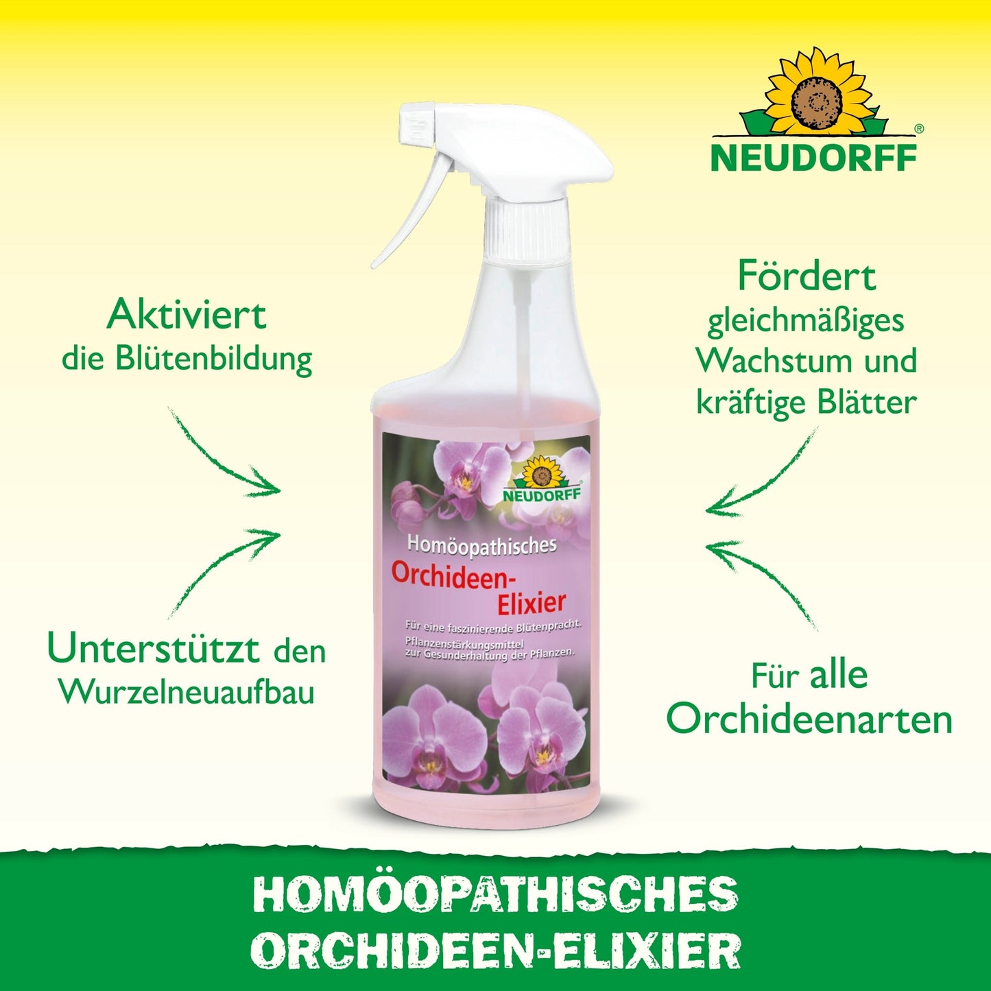In the middle stands a spray bottle with Homeopathic Orchid Elixir from the Neudorff Shop. The text highlights the benefits, such as promoting flowering, root renewal, and leaf growth for all orchids. The Neudorff logo is visible at the top.