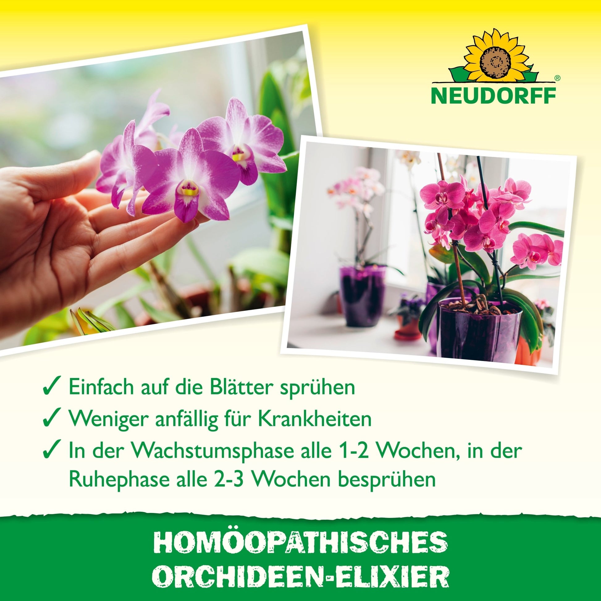 Two photos show orchids in pots, with one plant being sprayed with homeopathic orchid elixir from the Neudorff Shop. Green check marks and German text highlight the advantages of this orchid care, with branding visible at the top.