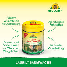 Pictured is a yellow-green "Lauril tree wax" container from Neudorff Shop. This plant wax protects and heals fruit trees. The German text highlights the natural ingredients.