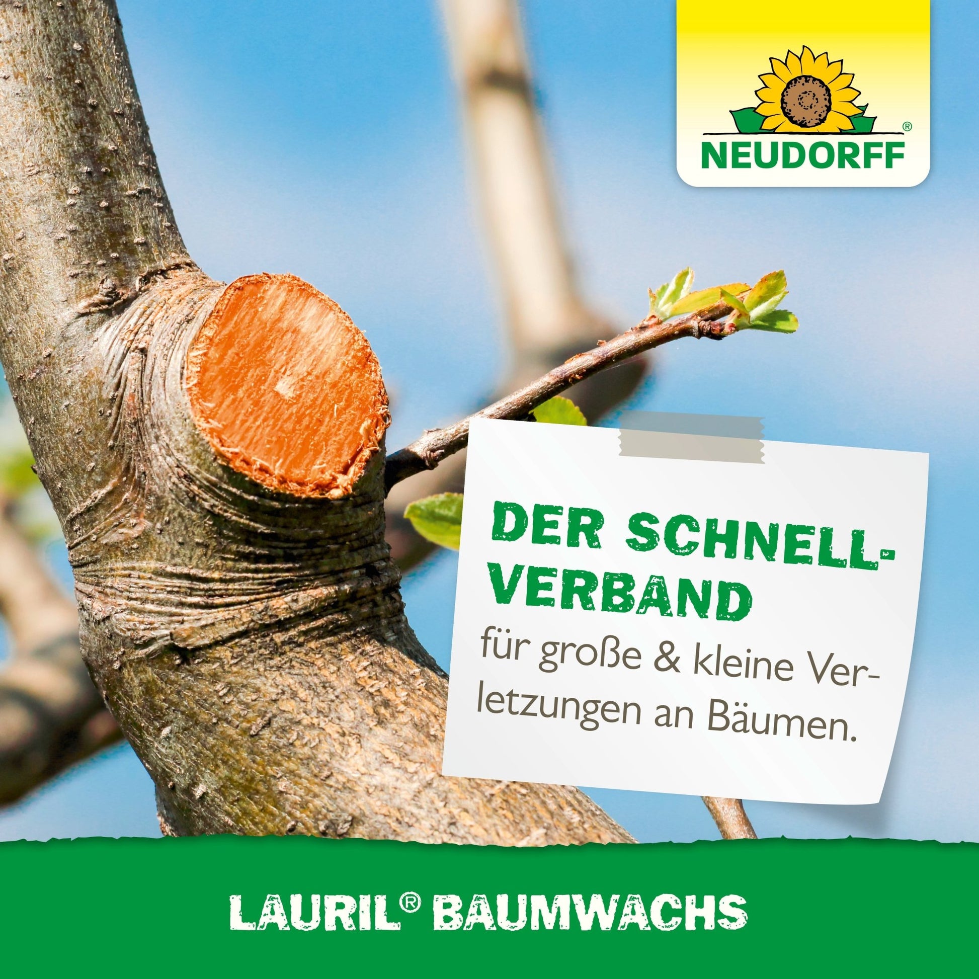 A freshly cut tree branch is treated with Lauril tree wax. The Neudorff Shop logo highlights Lauril tree wax for sealing wounds on fruit trees and caring for tree wounds.