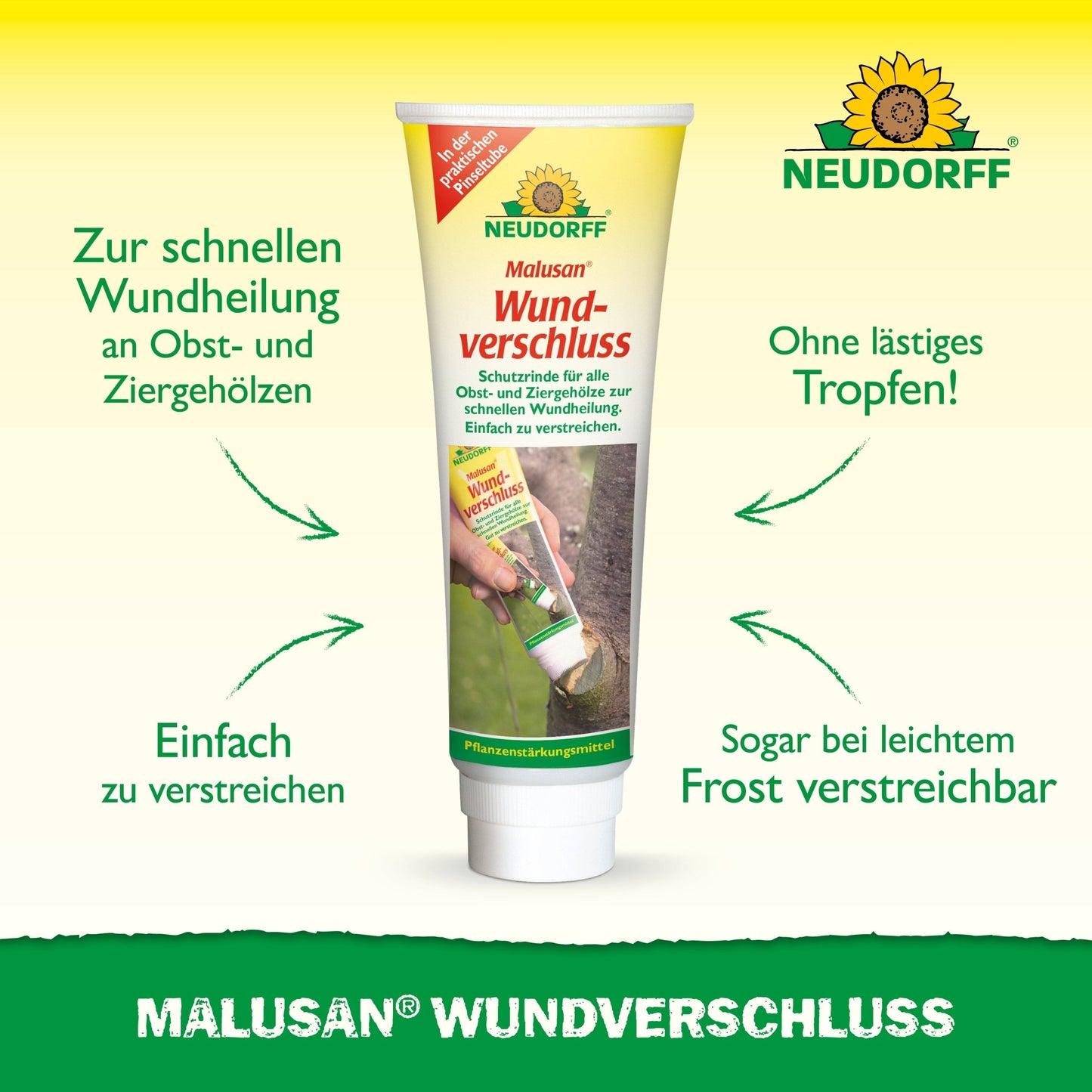 A tube of Malusan wound sealant from Neudorff Shop stands upright on a white surface and is decorated with green and yellow graphics. The German text highlights the quick healing of pruning wounds on woody plants and the easy application.